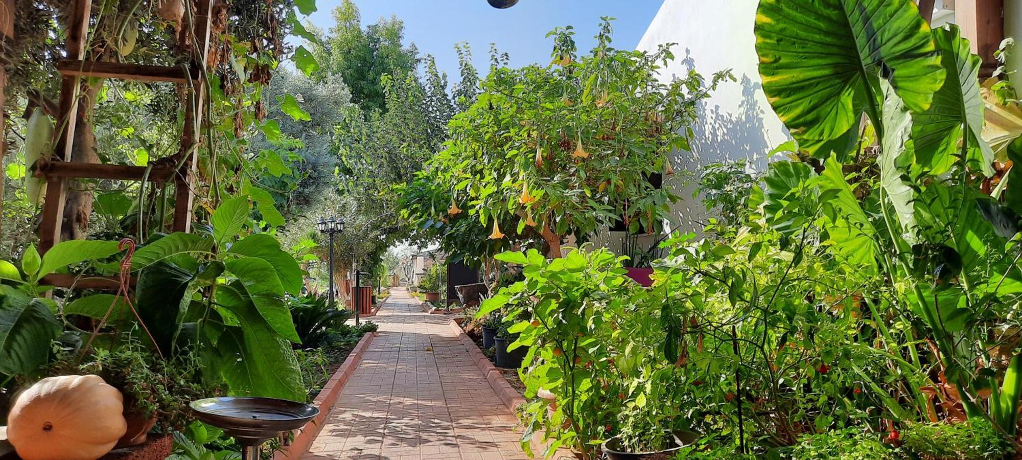 Osman Aga Culture House Apartamento Famagusta  Exterior foto